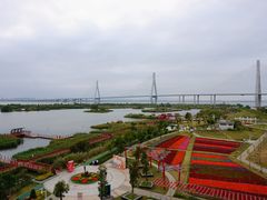 -芒洲湿地公园
