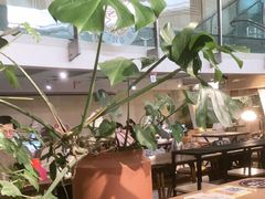 -大书房咖啡(中传国交店)