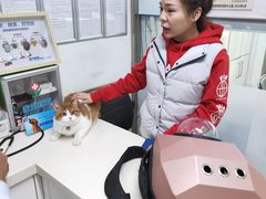 -宠颐生中康贝怡动物医院
