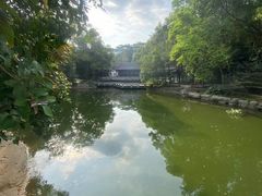 -深圳国际园林花卉博览园