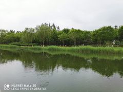 -大兴滨河森林公园