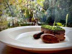 苔藓-知亘茶食