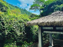-海南热带雨林国家公园吊罗山景区