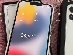 -Apple零售店(济南恒隆广场店)