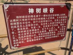 -波浪谷