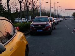 -春花秋色城市公园