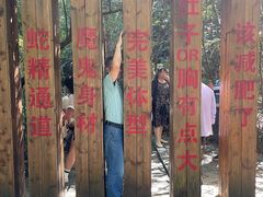 -九龙江国家森林公园