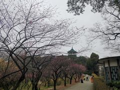 -无锡梅园公园