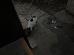 -贝利宠物医院·骨科·眼科·肿瘤转诊中心(南坪诊疗中心)