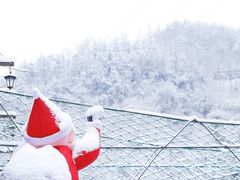 -宁波余姚老柿林山居度假村