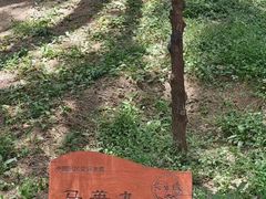 -黄帝陵