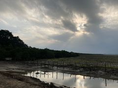 -东寨港红树林旅游区