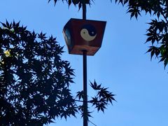-青岛崂山太清宫