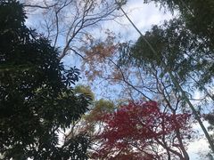 -秋霞圃