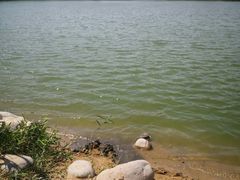 -大兴滨河森林公园