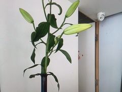 -卡罗酒店(东门晒布地铁站店)