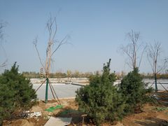 -永定河休闲森林公园