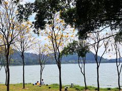-顺峰山公园