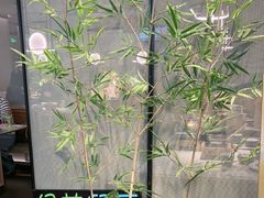 -绿茶餐厅(滨海万达广场店)