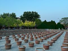 -莲花池公园