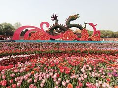 -北陵公园