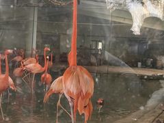 -石家庄市动物园