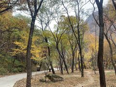 -湖洞水自然风景区