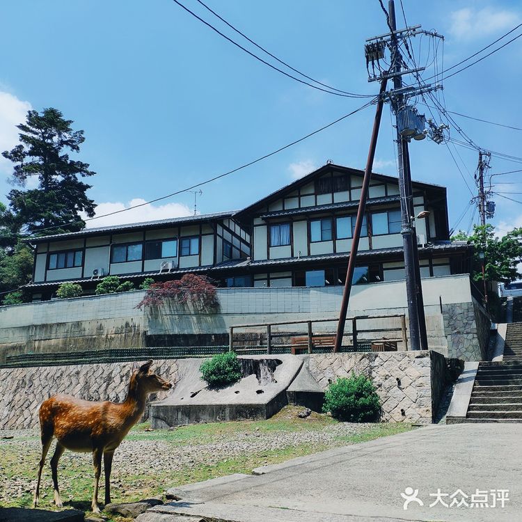 漫步日本东京,史上最不全的新人攻略,第一天我安然无恙。