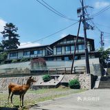 漫步日本东京，史上最不全的新人攻略，第一天我安然无恙。