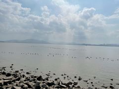 -深圳湾公园(南山区)