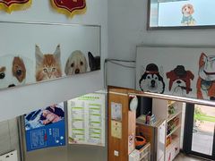 -爱侣宠医·鹦鹉专科·小型哺乳类·异宠专科(灵石路店)