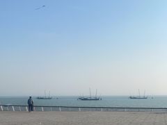 -贡湖湾湿地公园