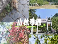 -武当山风景区