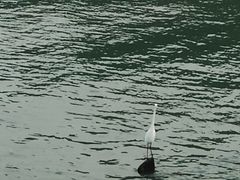 -碧桂园十里银滩