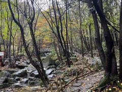 -香炉山国家森林公园