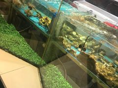 -喜来酌海鲜·饺子(和平一店)