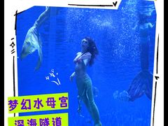 -石家庄极地海洋世界