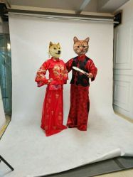 -YIMO映画摄影工作室