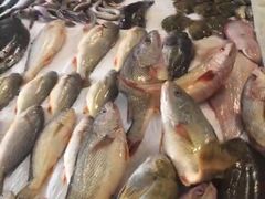 -宏源鑫海鲜餐厅·海景婚宴厅(石老人店)