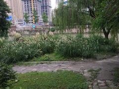 -成都市活水公园