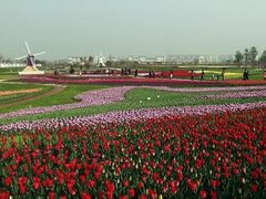 -洪湖湿地生态园