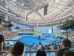 -海合安成都极地海洋公园