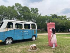 -杭州湾海上花田景区