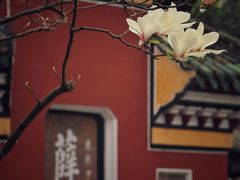 -望江楼公园