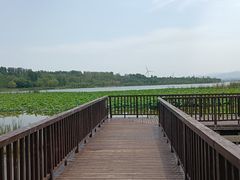 -怀来官厅水库