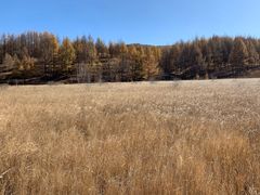 -塞罕坝国家级自然保护区