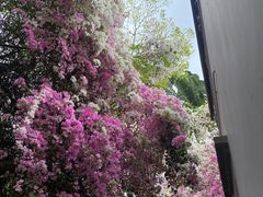 -深圳国际园林花卉博览园