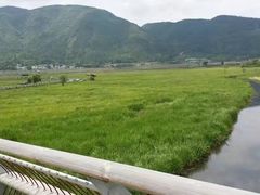 -腾冲北海湿地