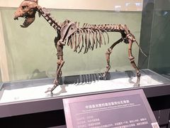 -大庆市博物馆