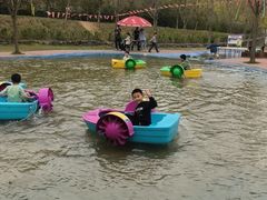 -西部长青自然儿童乐园